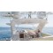 Luxury Motor Yacht Private Charter